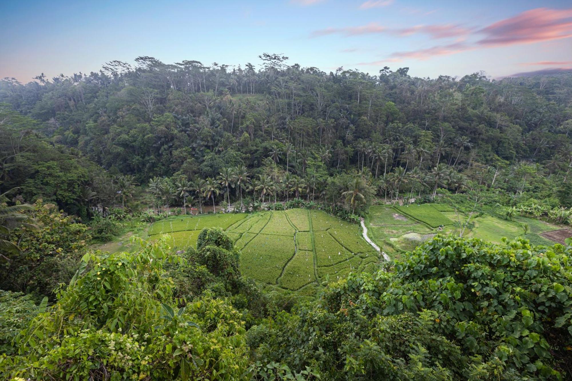 Black Penny Villas Ubud Εξωτερικό φωτογραφία